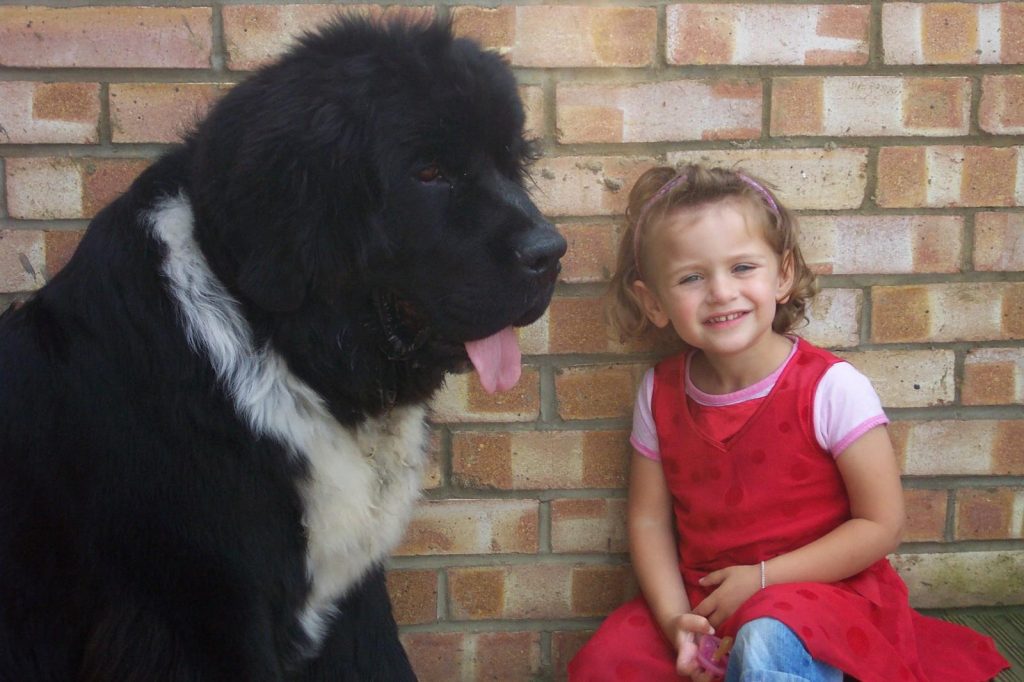 photo 2025 09 18 18 58 37 photo 2025 09 18 18 58 37