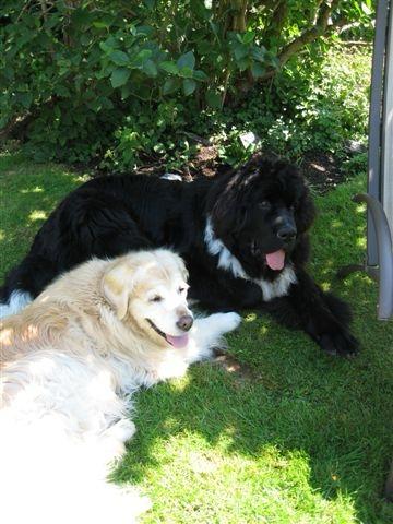 photo 2025 09 18 18 58 37(1)