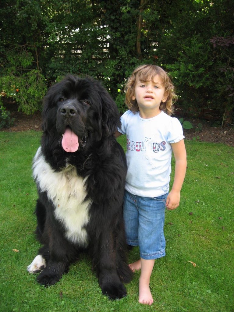 photo 2025 09 18 18 58 37(2)