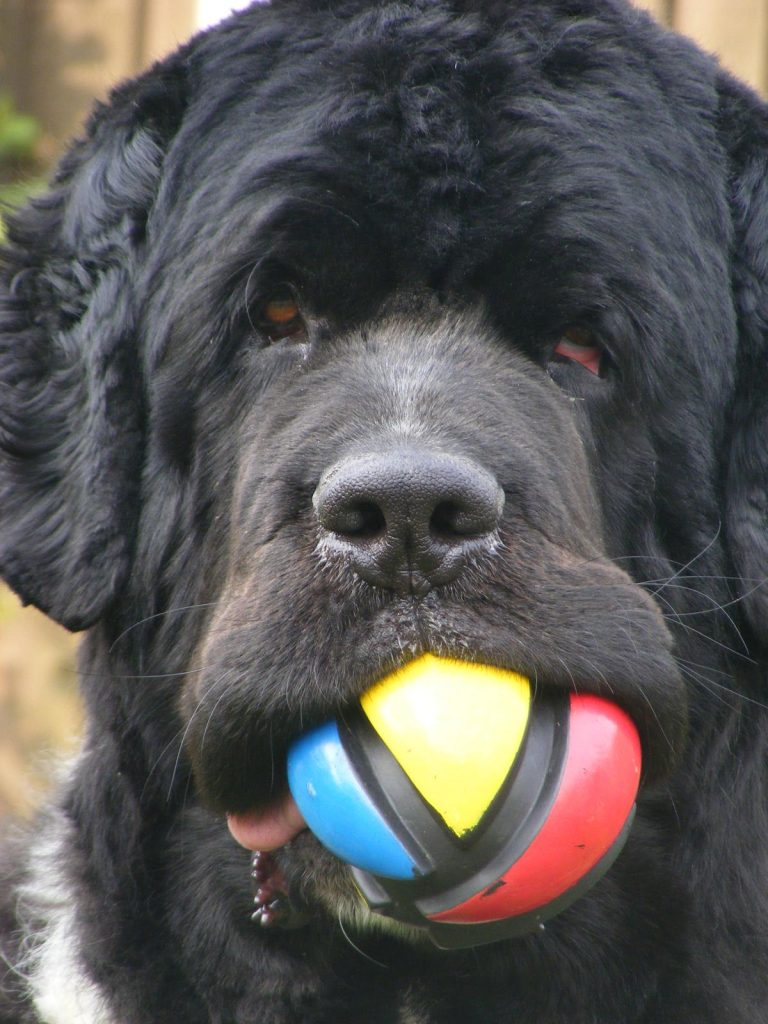 photo 2025 09 18 18 58 37(4) photo 2025 09 18 18 58 37(4)