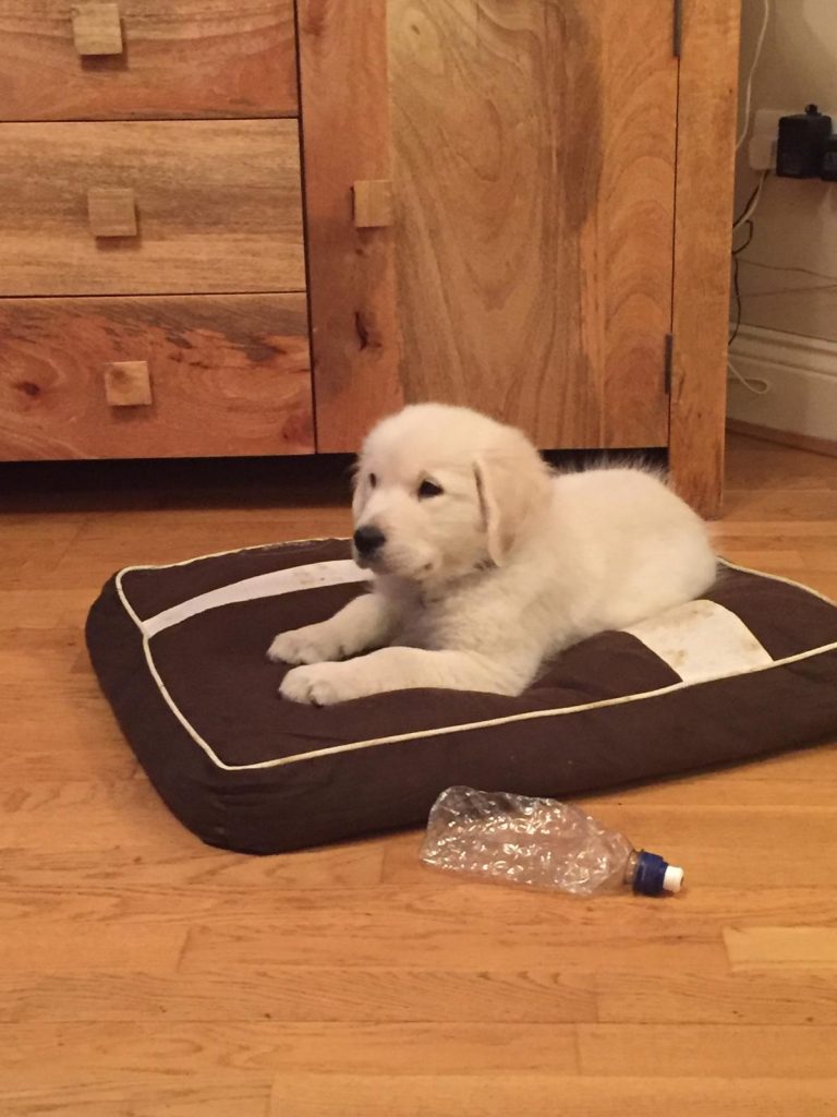 photo 2025 09 18 18 58 37(5)