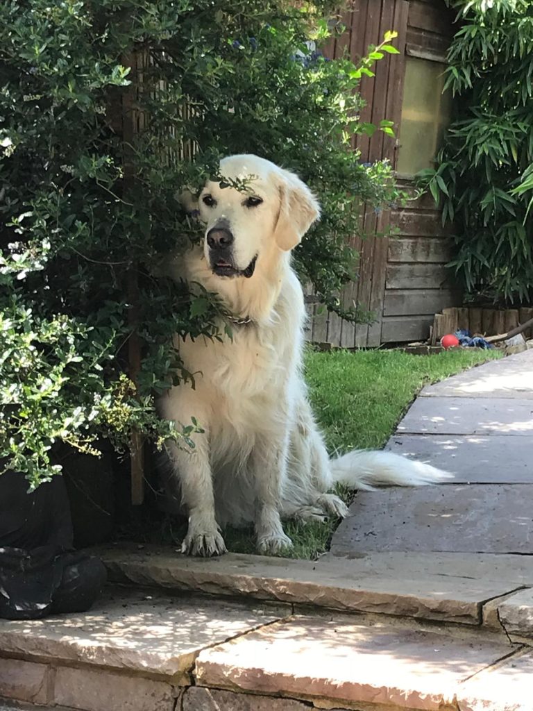 photo 2025 09 18 18 58 38(2)