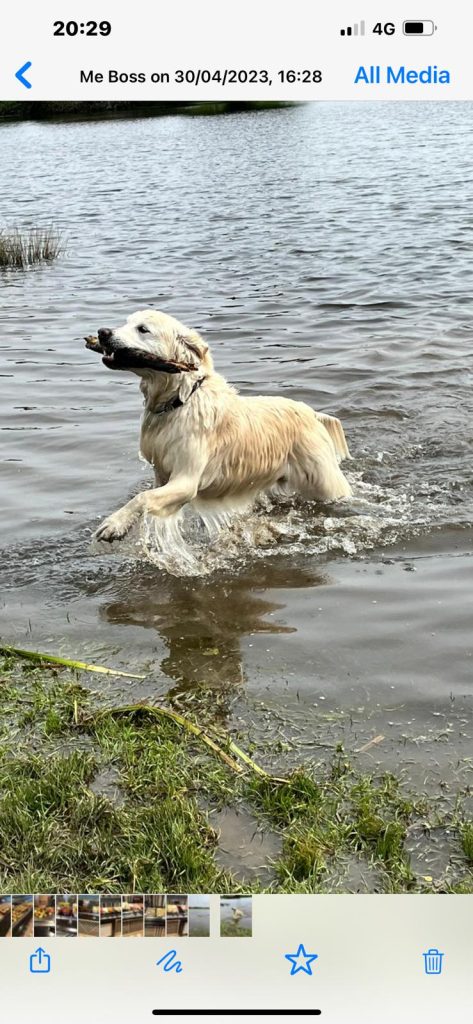 photo 2025 09 18 18 58 38(5)