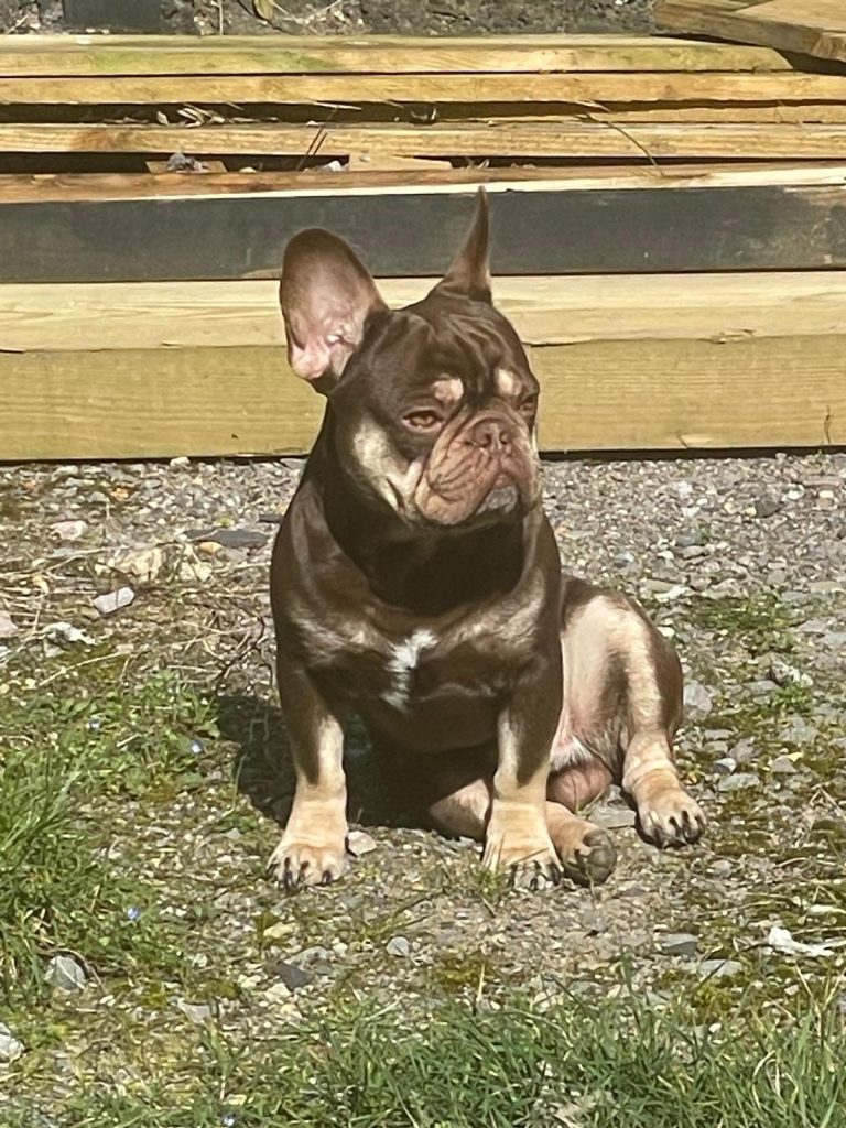 photo 2026 01 02 16 34 39(1)