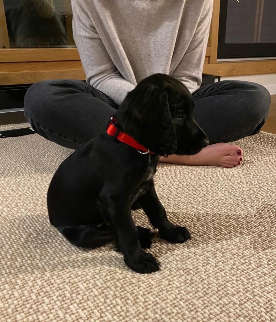 photo 2026 01 02 16 34 39(2)