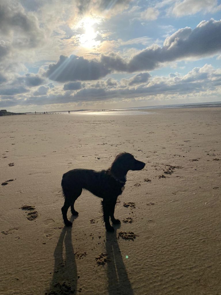 photo 2026 01 02 16 34 39(3)