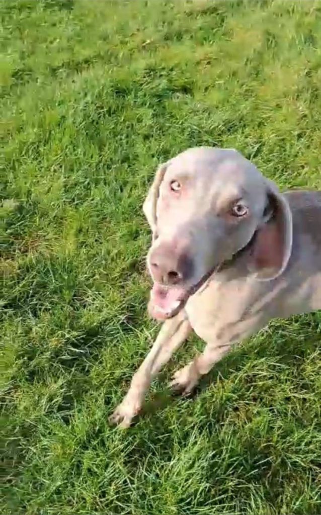 photo 2026 01 02 16 34 39(5)