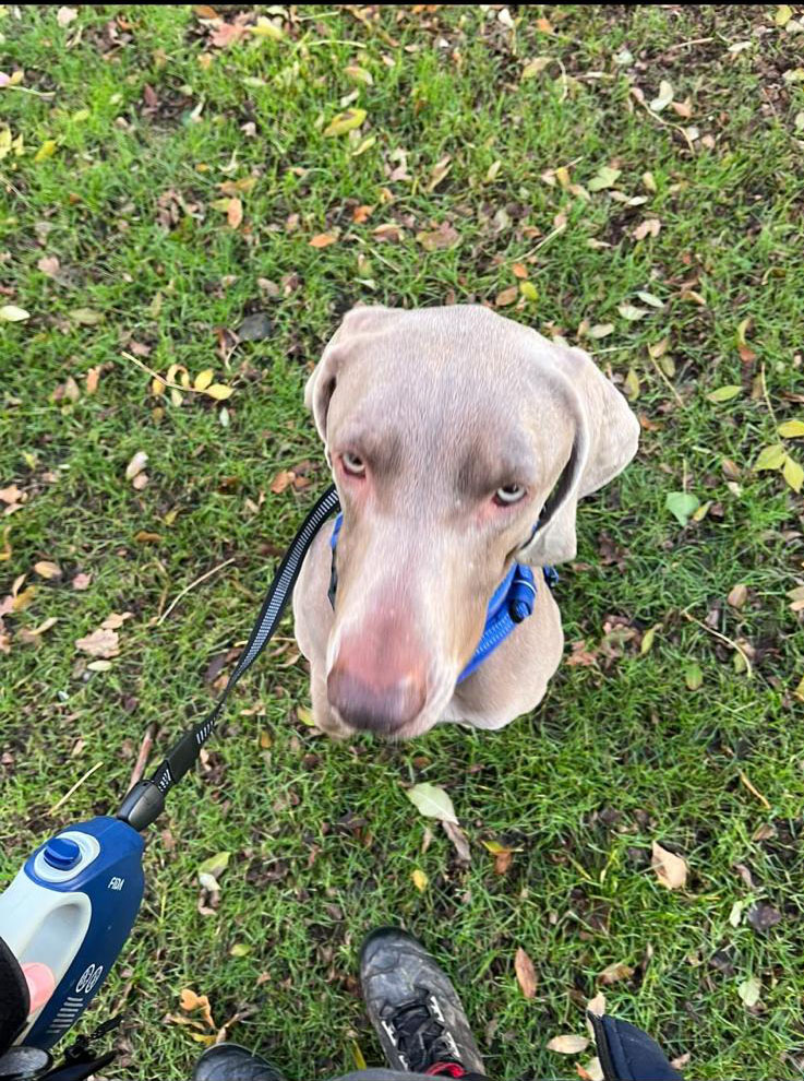 photo 2026 01 02 16 34 40