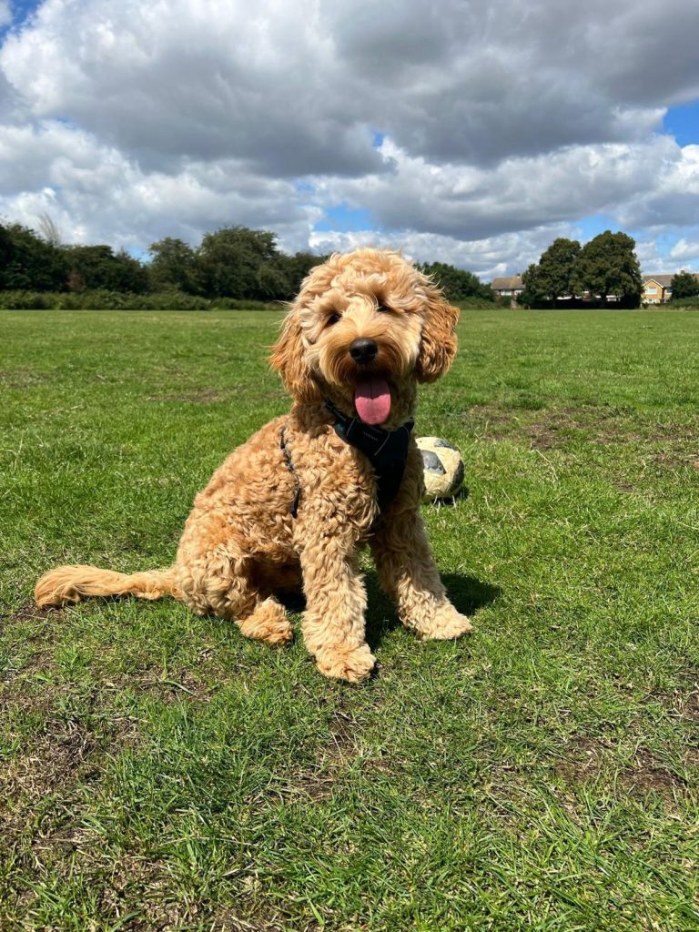 photo 2026 01 02 16 34 40