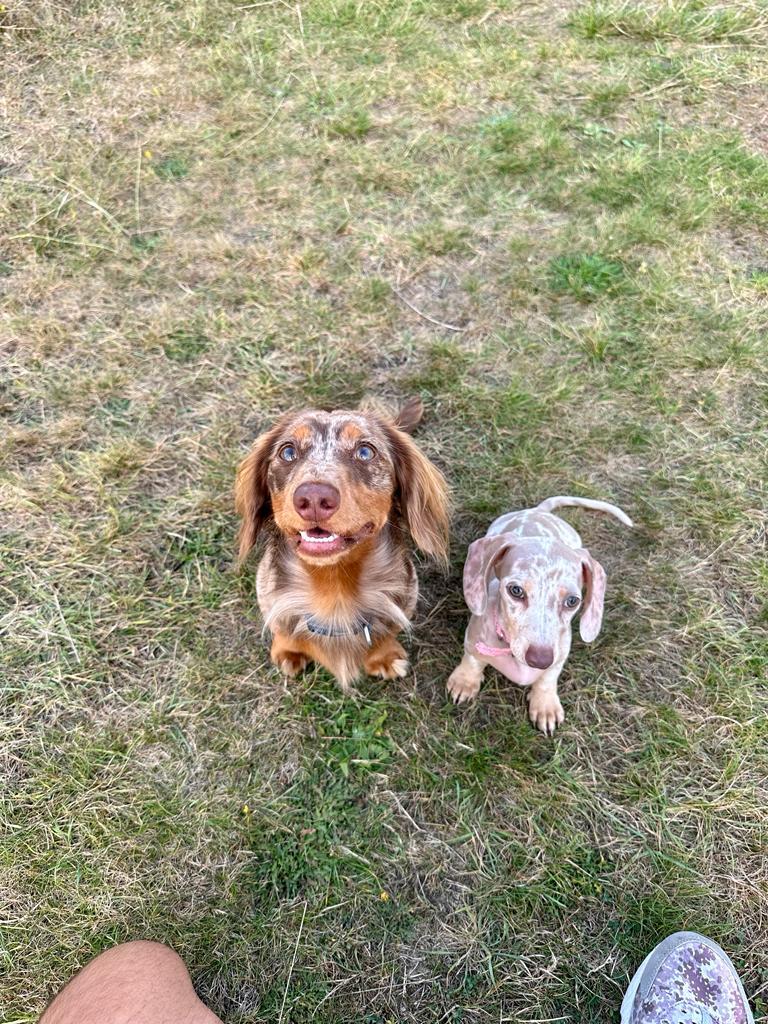 photo 2026 01 02 16 34 40(1)