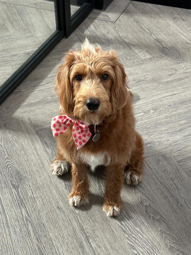 photo 2026 01 02 16 34 40(3)