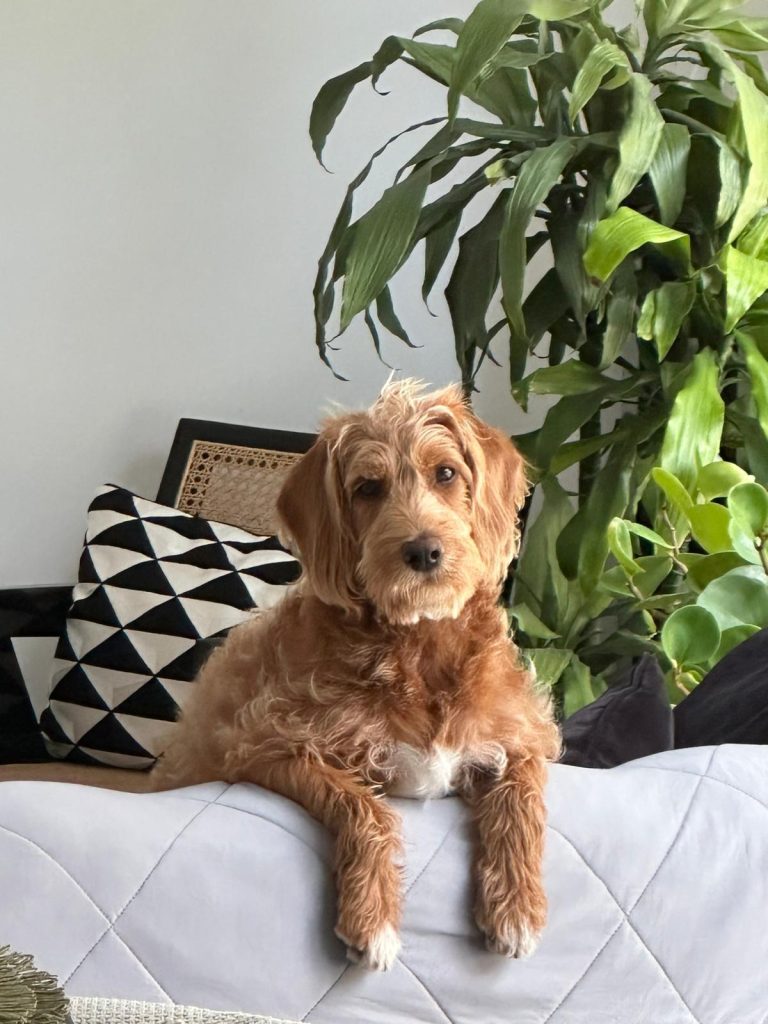 photo 2026 01 02 16 34 40(4)